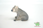 Preview: Schleich  Koalabär 14815